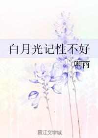 Bai Yueguang has a bad memory
