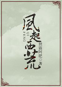 [Shadow Guardian] The Wind Rises from the Wild West