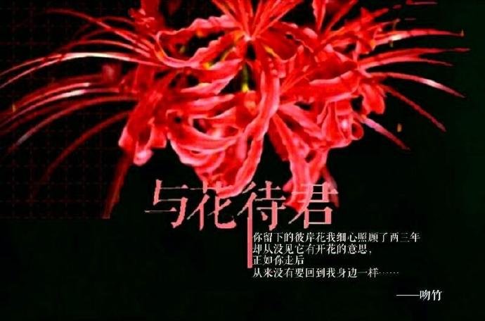 wait for you with flowers