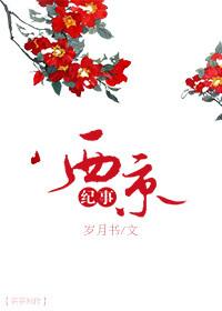 Xijing Chronicle
