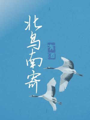 north bird south