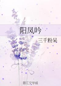 Yang Fengyin