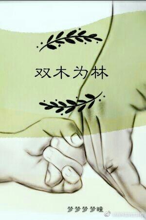 two trees for forest