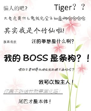 my boss is a dog
