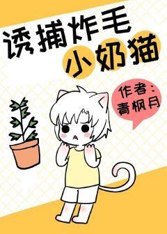 Trapping Fried-haired Kittens