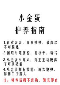 Little Golden Egg Care Guide