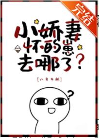 Where is the cub conceived by Xiao Jiao's wife?