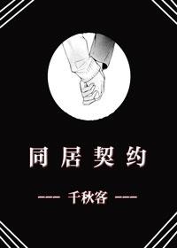 cohabitation contract