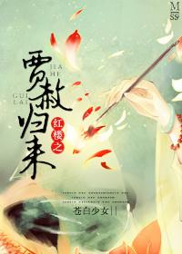 Return of Jia Amnesty in the Red Chamber
