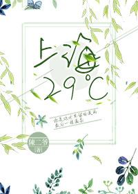 Shanghai 29℃