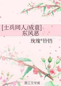 [Soldier fellow Cheng Yuan] Dongfeng Evil