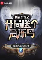 The opening of the wizard system sends a frozen bird