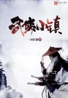 martial arts town