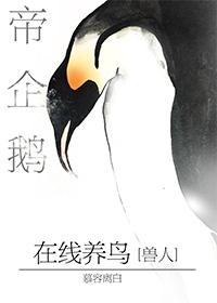 Emperor Penguin Bird Breeding Online