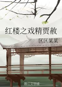 Jia She, the drama of Red Mansions