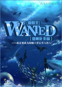 [One Piece]WANTED
