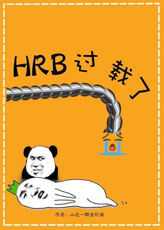 HRB is overloaded