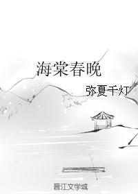 Begonia Spring Festival Gala