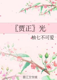 〖Jia Zheng〗light