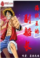 Vice Captain of One Piece