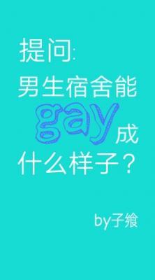 What can a gay dormitory look like?