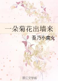A chrysanthemum came out of the wall