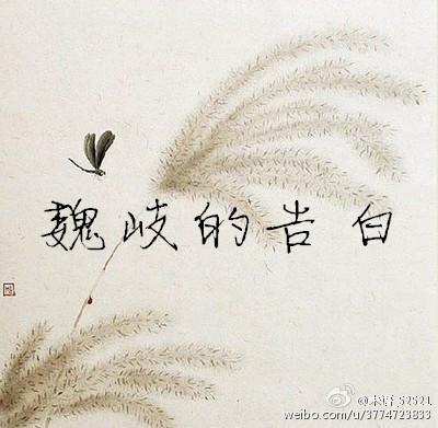 Wei Qi's Confession