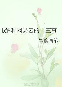 Anecdotes about Bilibili and NetEase Cloud