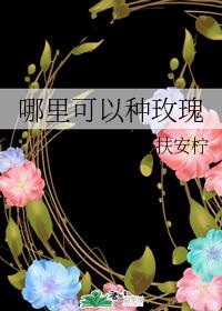 where to grow roses