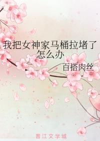 What should I do if I blocked the toilet in Goddess' house?