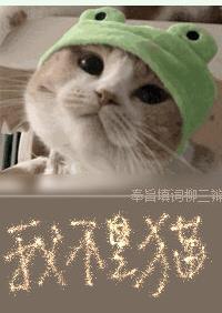 [Short story] I am not a cat