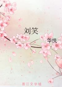 Liu Xiao