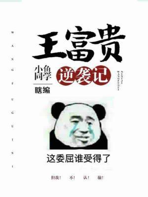 Wang Fugui's Counterattack