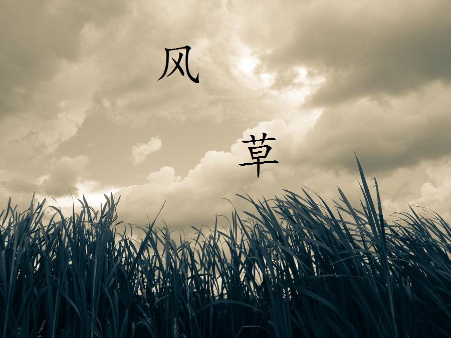 wind on the other side
