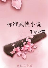 standard martial arts novel
