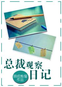 CEO Observation Diary